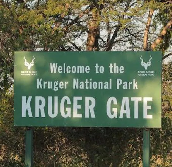 Best Time To Visit Kruger National Park