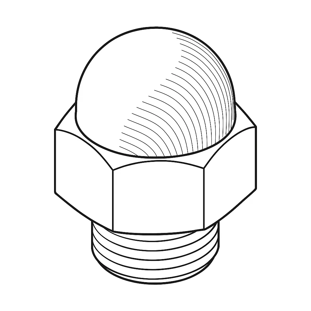 CAP NUT CLASS6 10MM E/G